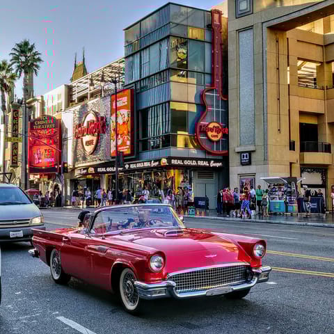 Explore the famous Hollywood Boulevard, a short drive away