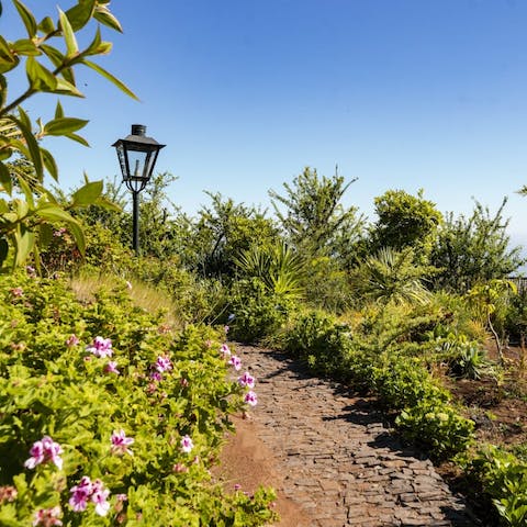 Meander through the lush hillside garden that features an array of flowers and greenery