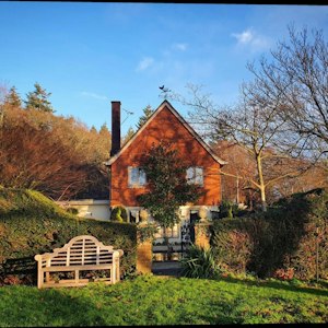 Country Nest image 9