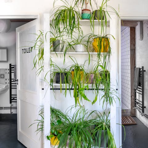 Admire the quirky touches like a bookshelf filled with house plants