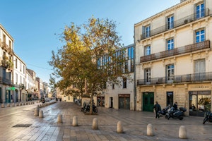 Courreau Afternoon image 14