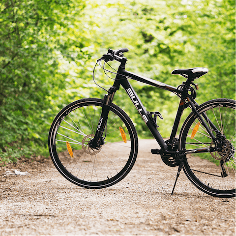 Rent a bike and hit the trails in warmer months