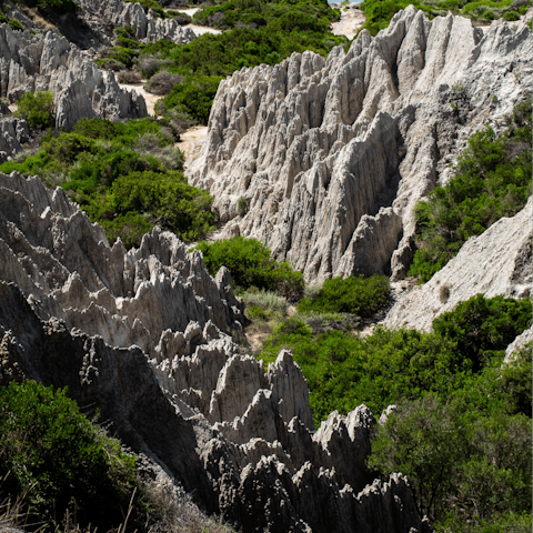 Visit the White Sandstone Mountains, a short drive and then a walk along the coastal path