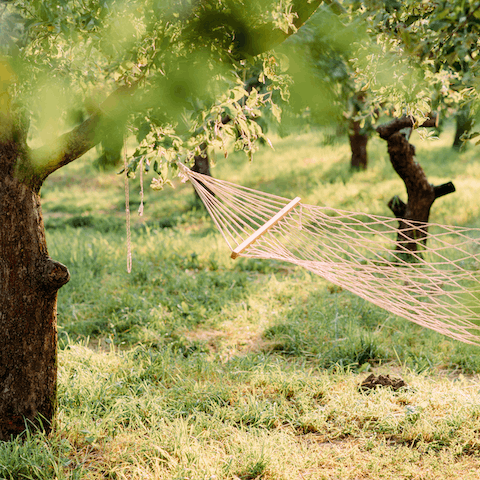 Enjoy a peaceful moment in the sprawling back garden