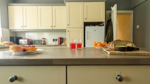 Scots Pine image 15