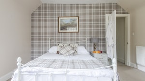 Scots Pine image 12