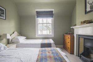 Scots Pine image 5