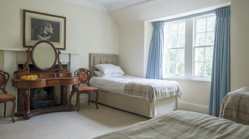 Scots Pine additional image