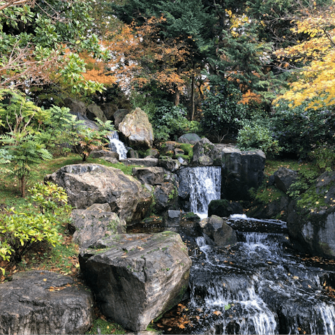 Take a scenic stroll through nearby Holland Park