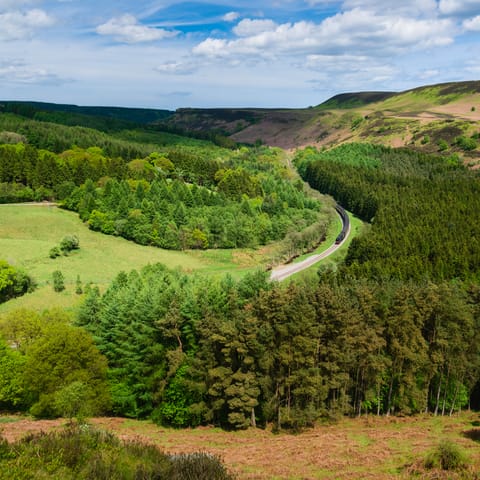 Swap the coast for countryside with a drive through the nearby North York Moors