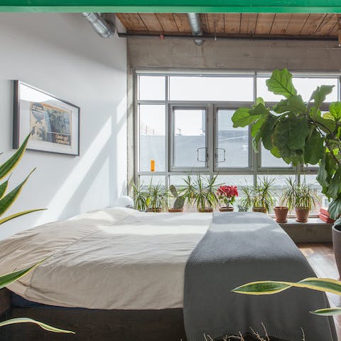 Tend to the thriving houseplants in the light-filled bedroom