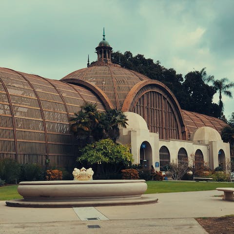 Explore the museums of Balboa Park, just over a twenty-minute walk away