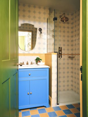 Speckled Blue image 15