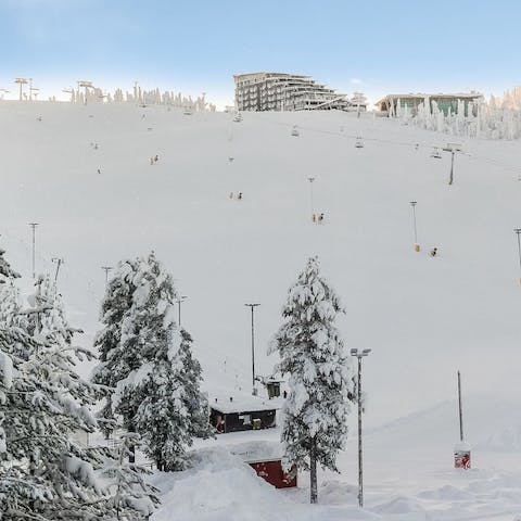 Hit the slopes during ski season