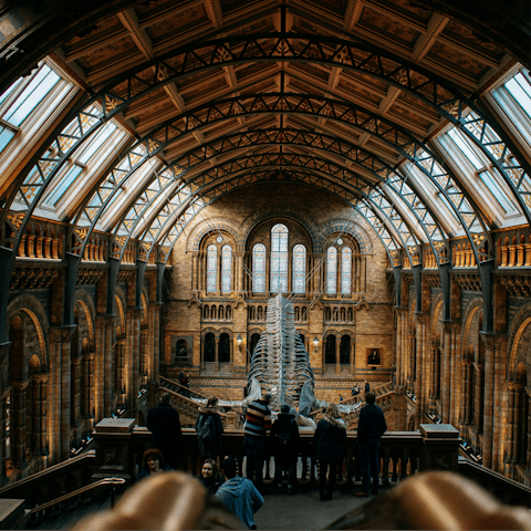 Spend the afternoon at the nearby Natural History Museum