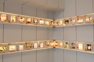 Clerkenwell Conservatory image 13
