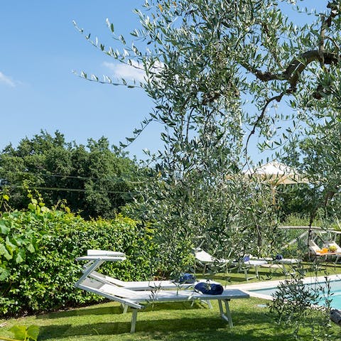 Bask in the sun in the leafy gardens