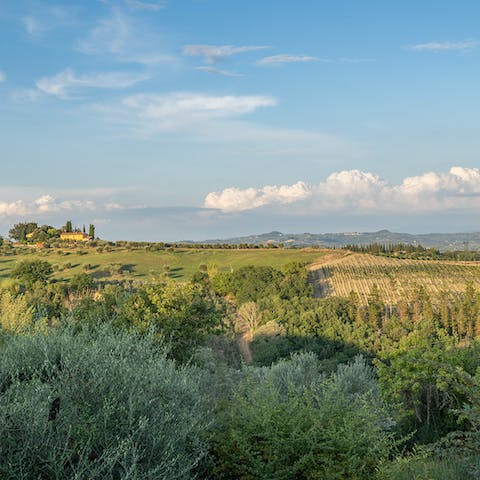 Admire the views over the Tuscan countryside