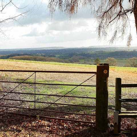 Go on a ramble in the beautiful Herefordshire countryside