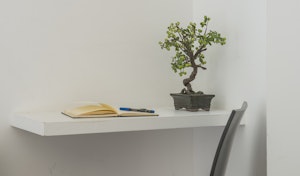 Scandi Dreams image 2