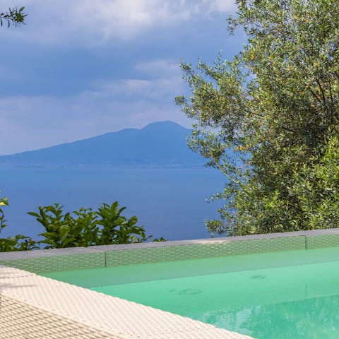 Admire the views while relaxing in the private pool