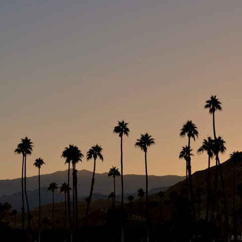 Discover the hot springs,  golf courses and spas of the famous Palm Springs