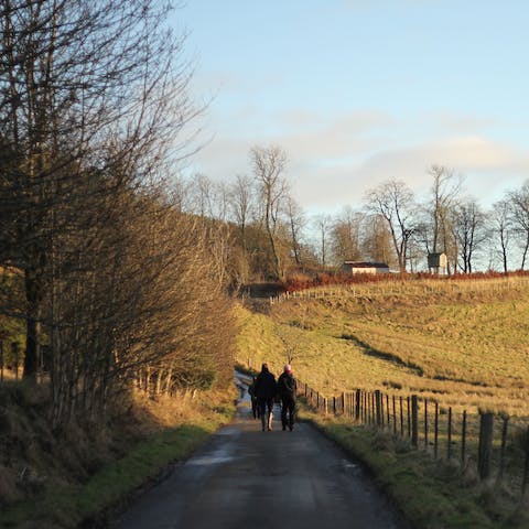 Ramble across fields and down the peaceful country lanes of Lauderdale