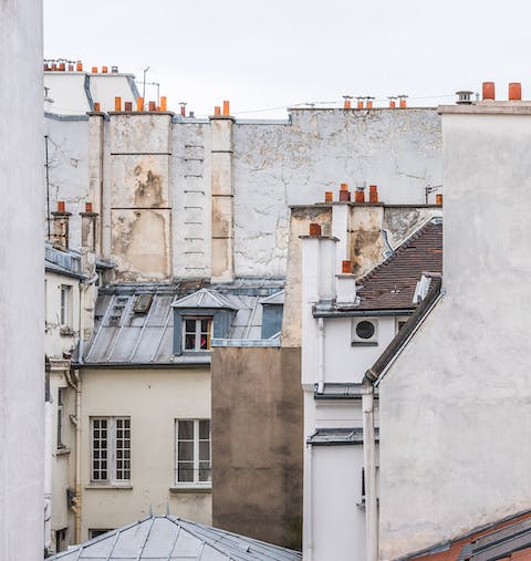 Views over Paris' rooftops