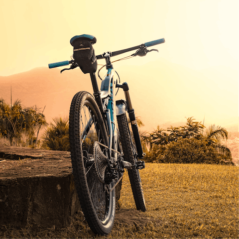 Hire bikes with the help of your host and cycle along the promenade