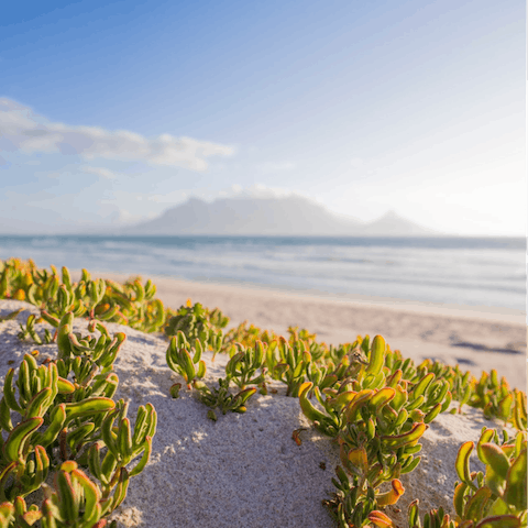 While away the hours soaking up the sun on Camps Bay Beach, a short walk from your building