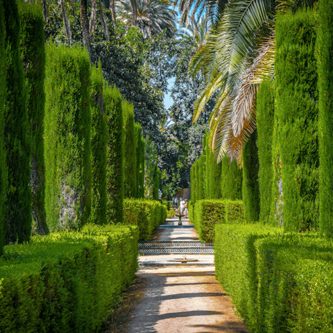 Wander through the colourful Royal Alcaraz Gardens