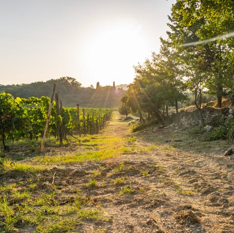 Fall in love with central Tuscany when you stay in this quiet countryside home