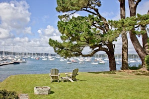 Scallop Cottage image 9