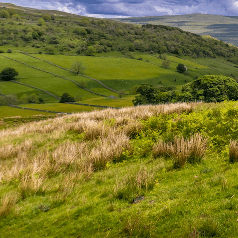 Explore the lush scenery of the Yorkshire Dales – its border is just an eleven-minute drive
