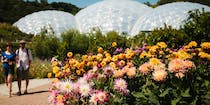 Explore the Global Biomes at Eden Project