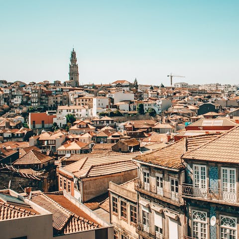 Discover the delights of Porto, including Praça do Marquês de Pombal