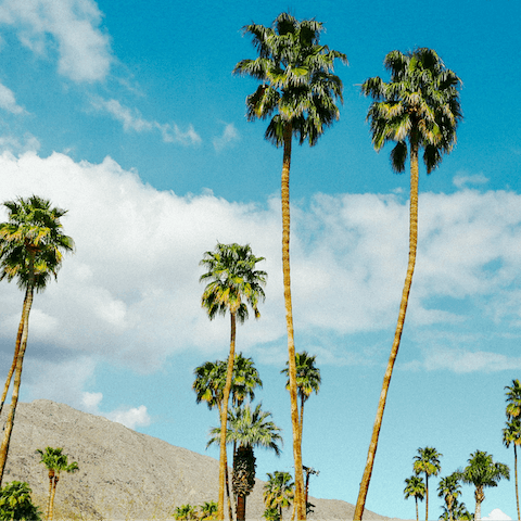 Explore Downtown Palm Springs, a short drive away