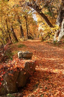 Explore Mohonk Preserve's Spectacular Trails and Views