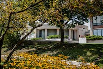 Explore the Samuel Dorsky Museum of Art