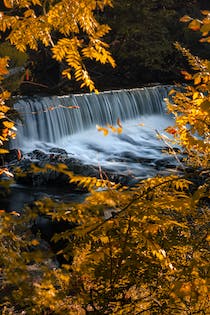 Explore the Scenic Fishkill Ridge Trail