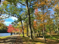 Explore the Natural Beauty of Bear Mountain State Park