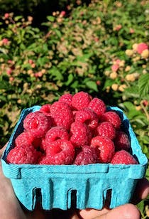 Explore Wallkill View Farm Market