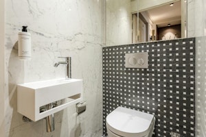 Silver Pearl image 12