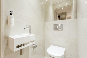Silver Pearl image 11