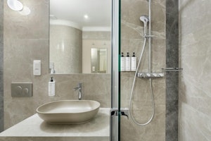 Silver Pearl image 10