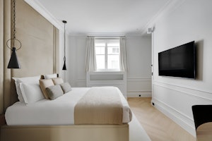 Elegant Parisian image 9