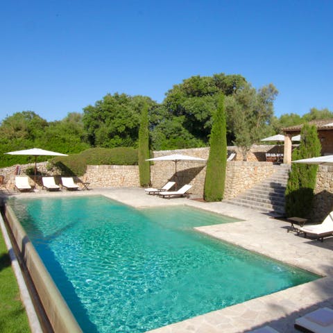 Lounge by the pool surrounded by pencil cypress trees