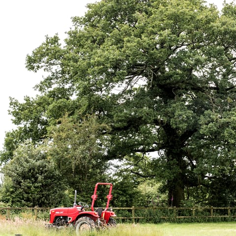 Explore the East Devon Area of Outstanding Natural Beauty, right on your doorstep