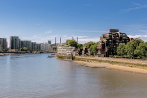 Pimlico Pride image 14