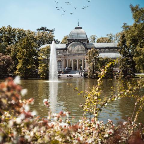 Visit the beautiful El Retiro Park, under a thirty-minute walk or a nine-minute ride from this home